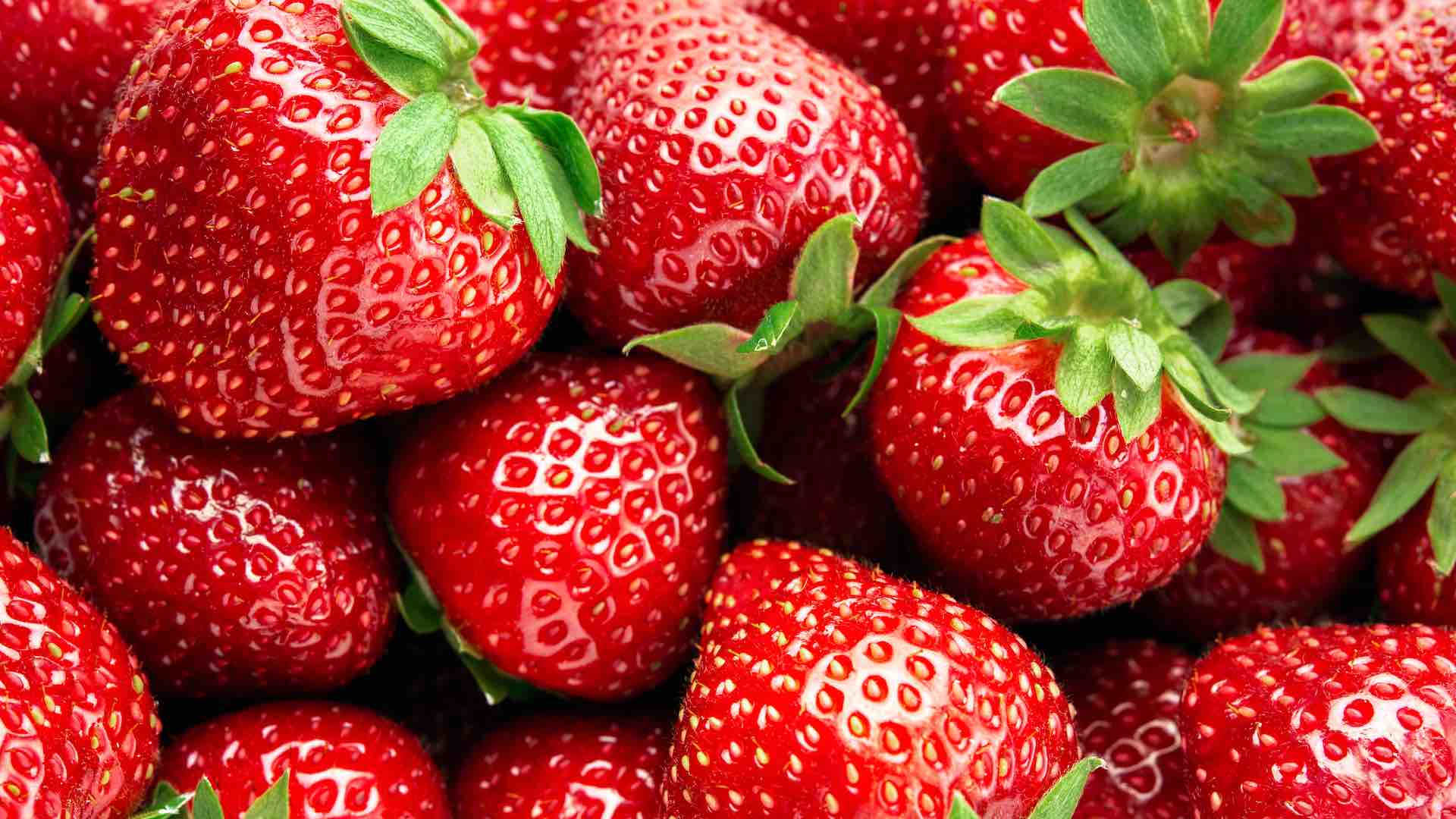 草莓、菠菜位列 EWG 2024 年“肮脏的十二种蔬菜”榜单榜首