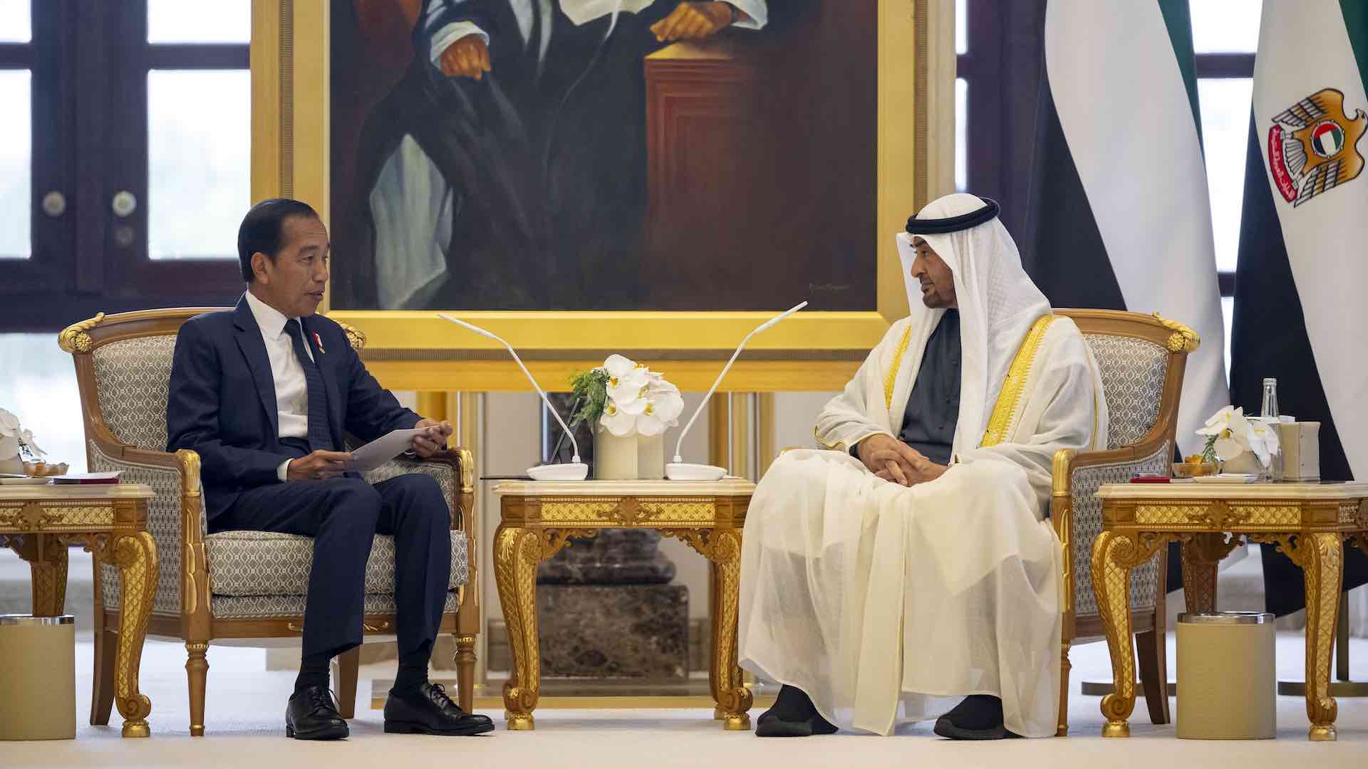 UAE and Indonesia strengthen ties with economic partnership